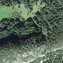 Satellite imagery of Scheidegg, CH