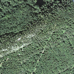 Satellite imagery of Scheidegg, CH