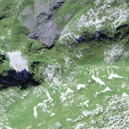 Satellite imagery of Vorder Chinzerberg, CH