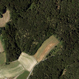 Satellite imagery of Brandriegel, AT