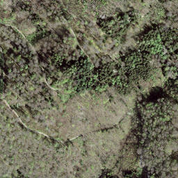 Satellite imagery of Gurten, CH