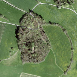 Satellite imagery of Gurten, CH