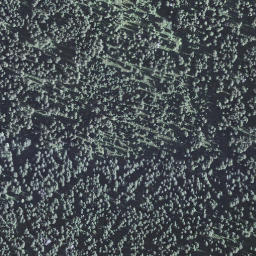 Satellite imagery of Jänzi, CH