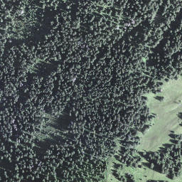 Satellite imagery of Jänzi, CH