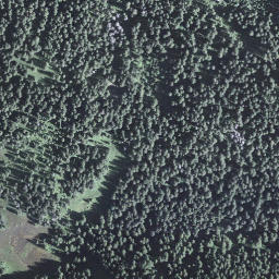 Satellite imagery of Wenglihals, CH