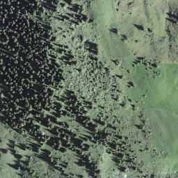 Satellite imagery of Zwelfer, CH