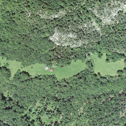 Satellite imagery of Scheidegg, CH