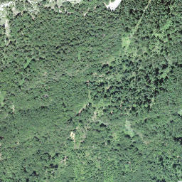 Satellite imagery of Scheidegg, CH