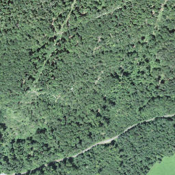 Satellite imagery of Scheidegg, CH