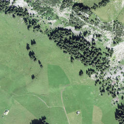 Satellite imagery of Gruonwaldhubel, CH