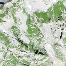 Satellite imagery of Schijen, CH