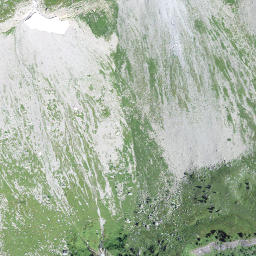 Satellite imagery of Schijen, CH