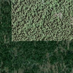 Satellite imagery of 2546201 - B, CH