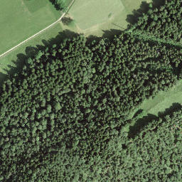 Satellite imagery of RC1854.COUVET.MOTIERS, IT