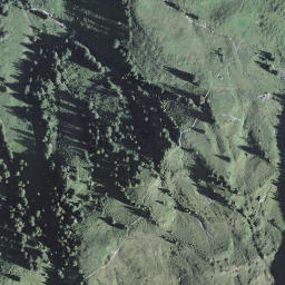 Satellite imagery of Waldbrueder, CH