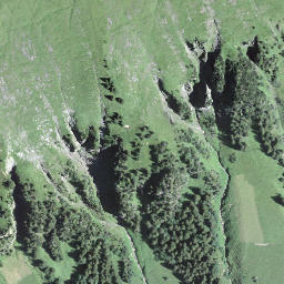Satellite imagery of Unter Bolgen, CH