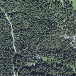 Satellite imagery of Gruonwaldhubel, CH