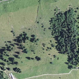 Satellite imagery of Höch Horn, CH