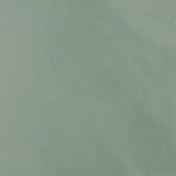 Satellite imagery of Point Chehalis, US