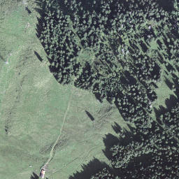 Satellite imagery of Bärnerstig, CH