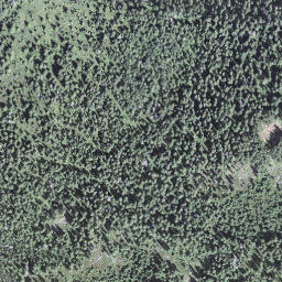 Satellite imagery of Bärnerstig, CH