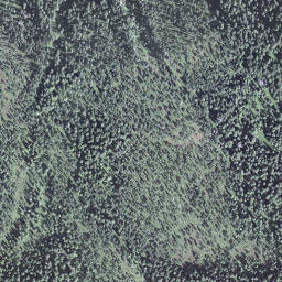 Satellite imagery of Egg, CH