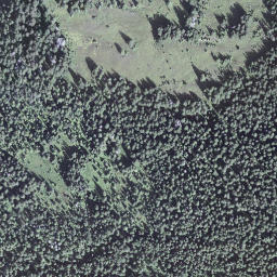 Satellite imagery of Egg, CH