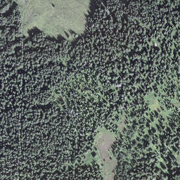 Satellite imagery of Egg, CH