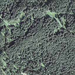 Satellite imagery of Wenglihals, CH