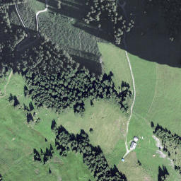 Satellite imagery of Plütschgengrat, CH
