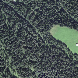 Satellite imagery of Gruonwaldhubel, CH