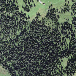 Satellite imagery of Gruonwaldhubel, CH