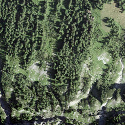 Satellite imagery of Simel, CH