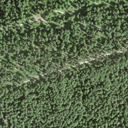 Satellite imagery of Le Signal, CH