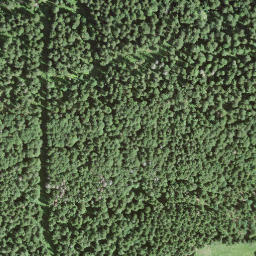 Satellite imagery of Le Signal, CH