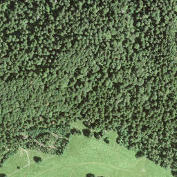 Satellite imagery of Le Signal, CH