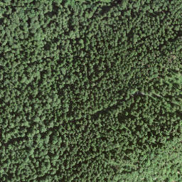 Satellite imagery of Crêt des Devens, CH