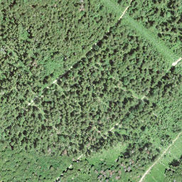 Satellite imagery of borNE-VD.81, IT