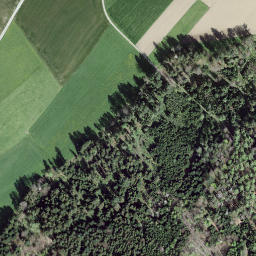 Satellite imagery of Burgruine Neu Bubenberg, CH