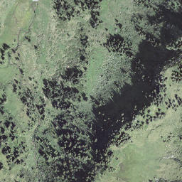 Satellite imagery of Wissguber, CH