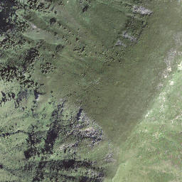 Satellite imagery of Wissguber, CH
