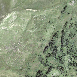 Satellite imagery of Wissguber, CH