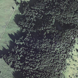 Satellite imagery of Bärnerstig, CH