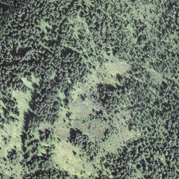 Satellite imagery of Bärnerstig, CH