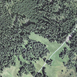 Satellite imagery of Bärnerstig, CH