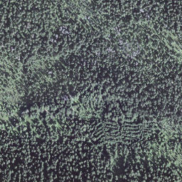 Satellite imagery of Egg, CH