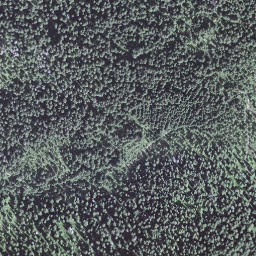 Satellite imagery of Egg, CH