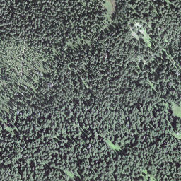 Satellite imagery of Egg, CH
