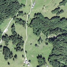 Satellite imagery of Wirzweligrat, CH