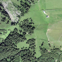 Satellite imagery of Ruchegg, CH